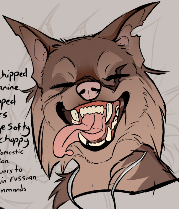 Starkiller🔪✨ tweet media