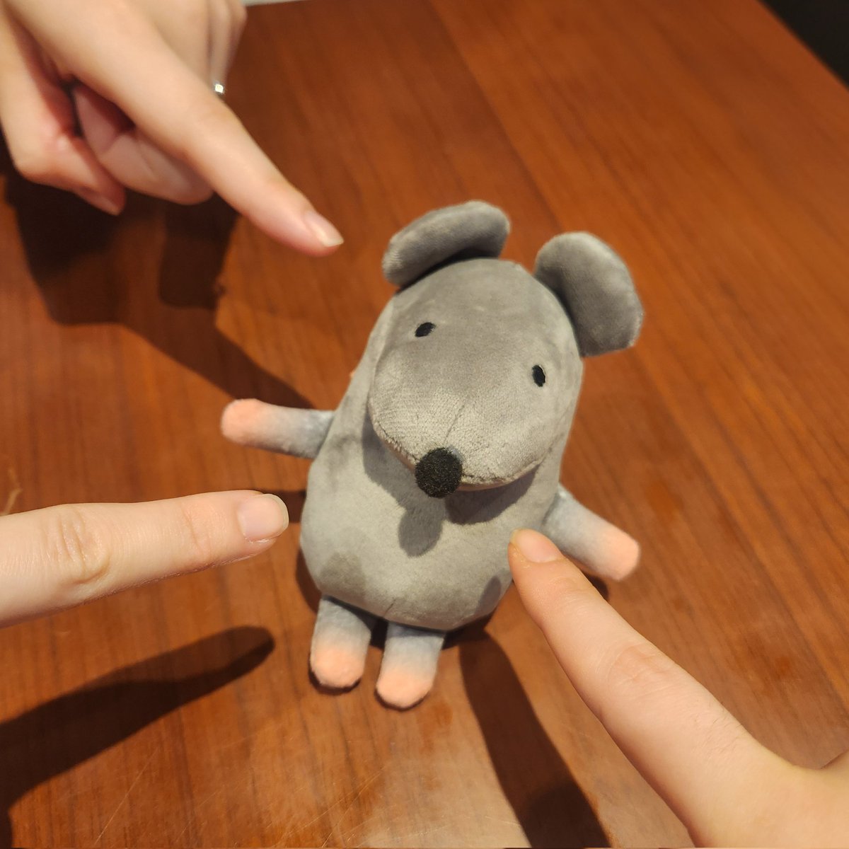 데굴쥐 tweet media