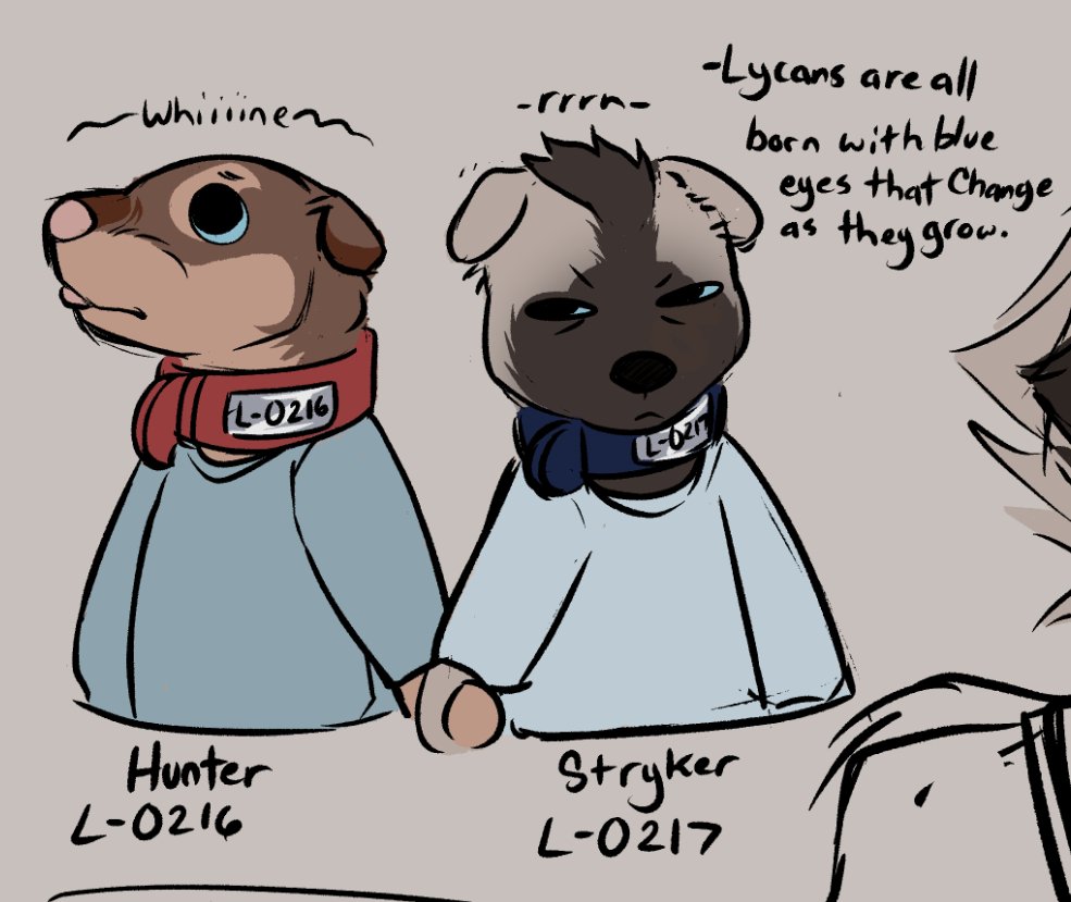 Starkiller🔪✨ tweet media