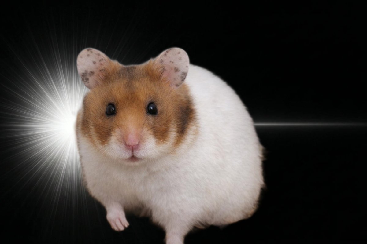 良いモデルがいたので…