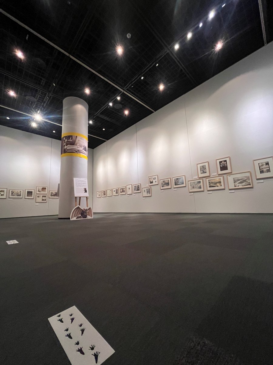 神戸ファッション美術館 tweet media