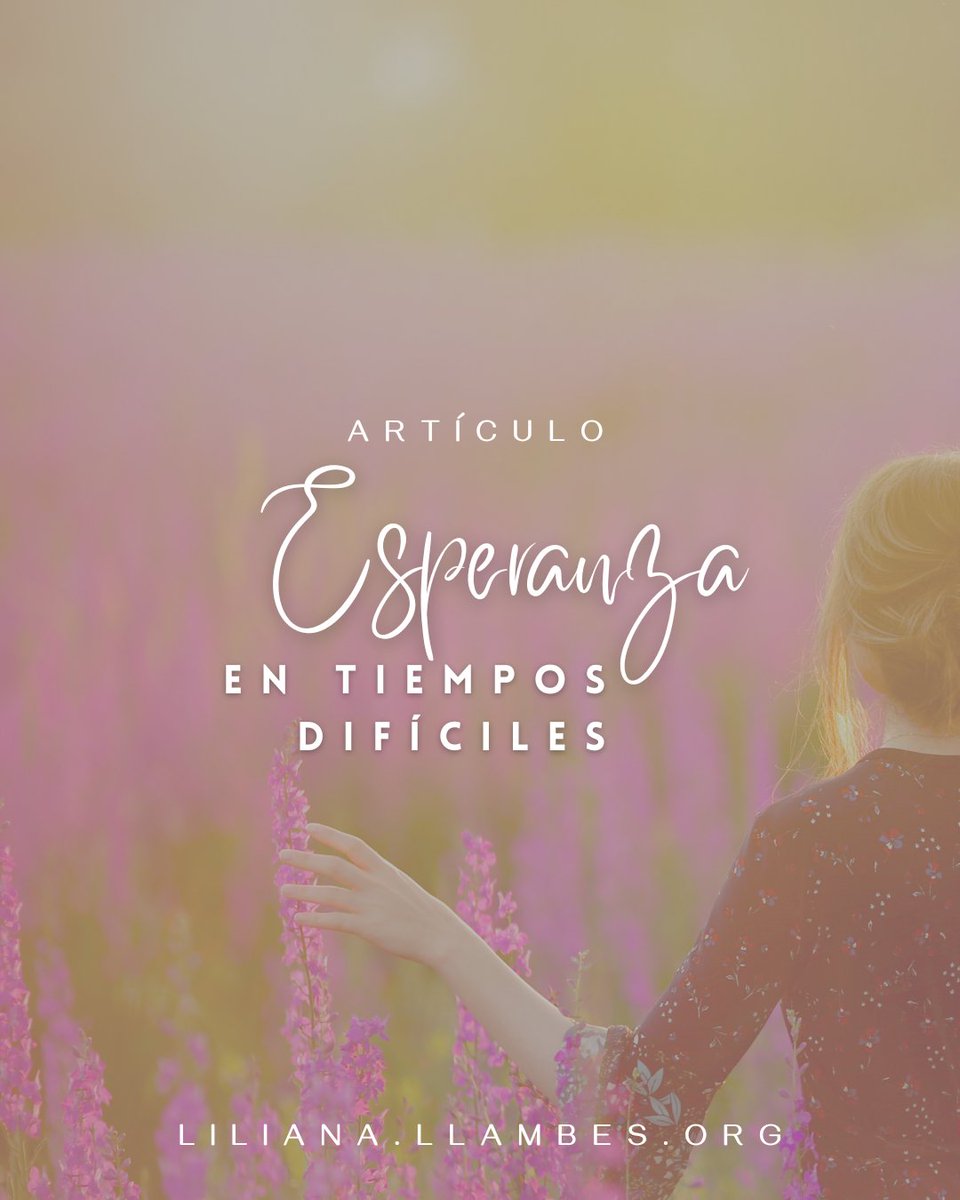 Lily Llambés tweet media