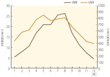 ゆうく|美容研究員 tweet media