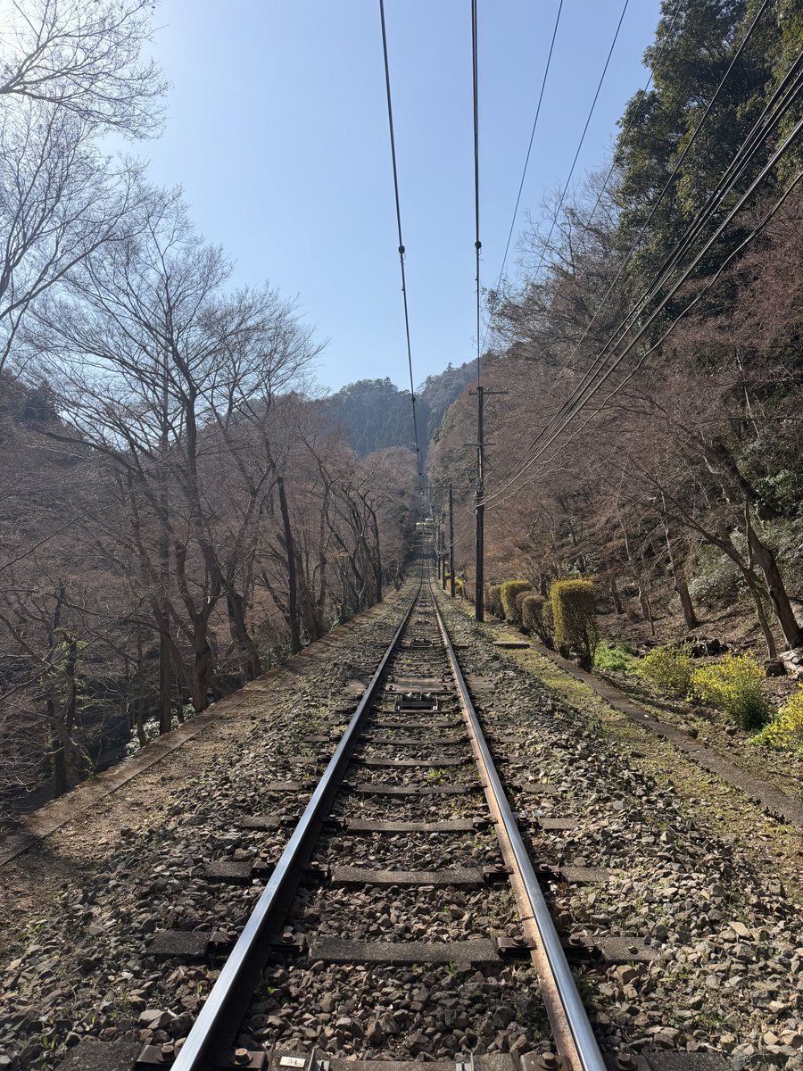 高尾山の季節が移り変わる2週間
同じ場所で比べてみました😉
#高尾山　#八王子　#新緑