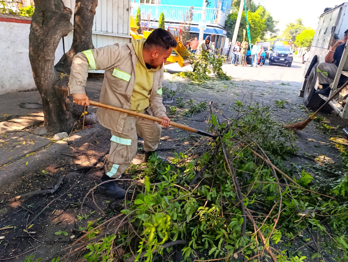 Alcaldía Gustavo A. Madero tweet media