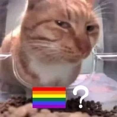 ray 📖 tweet media