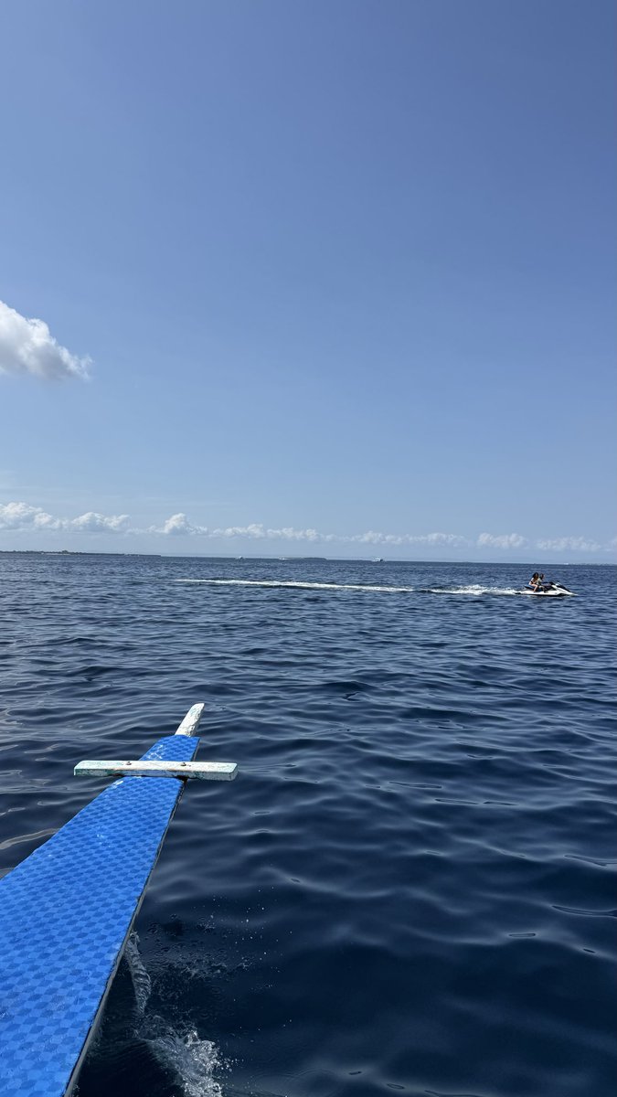 ocean diving（O） tweet media