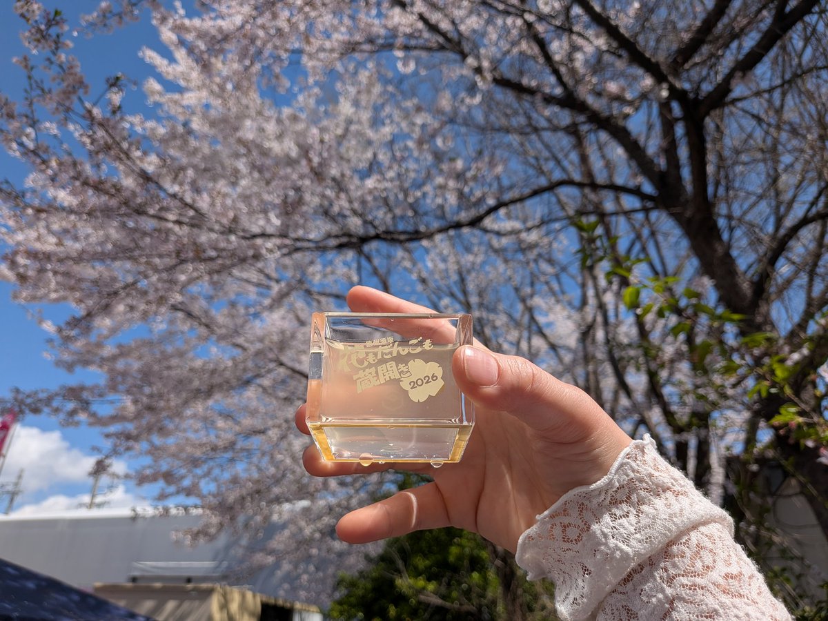 初蔵開き！
桜🌸