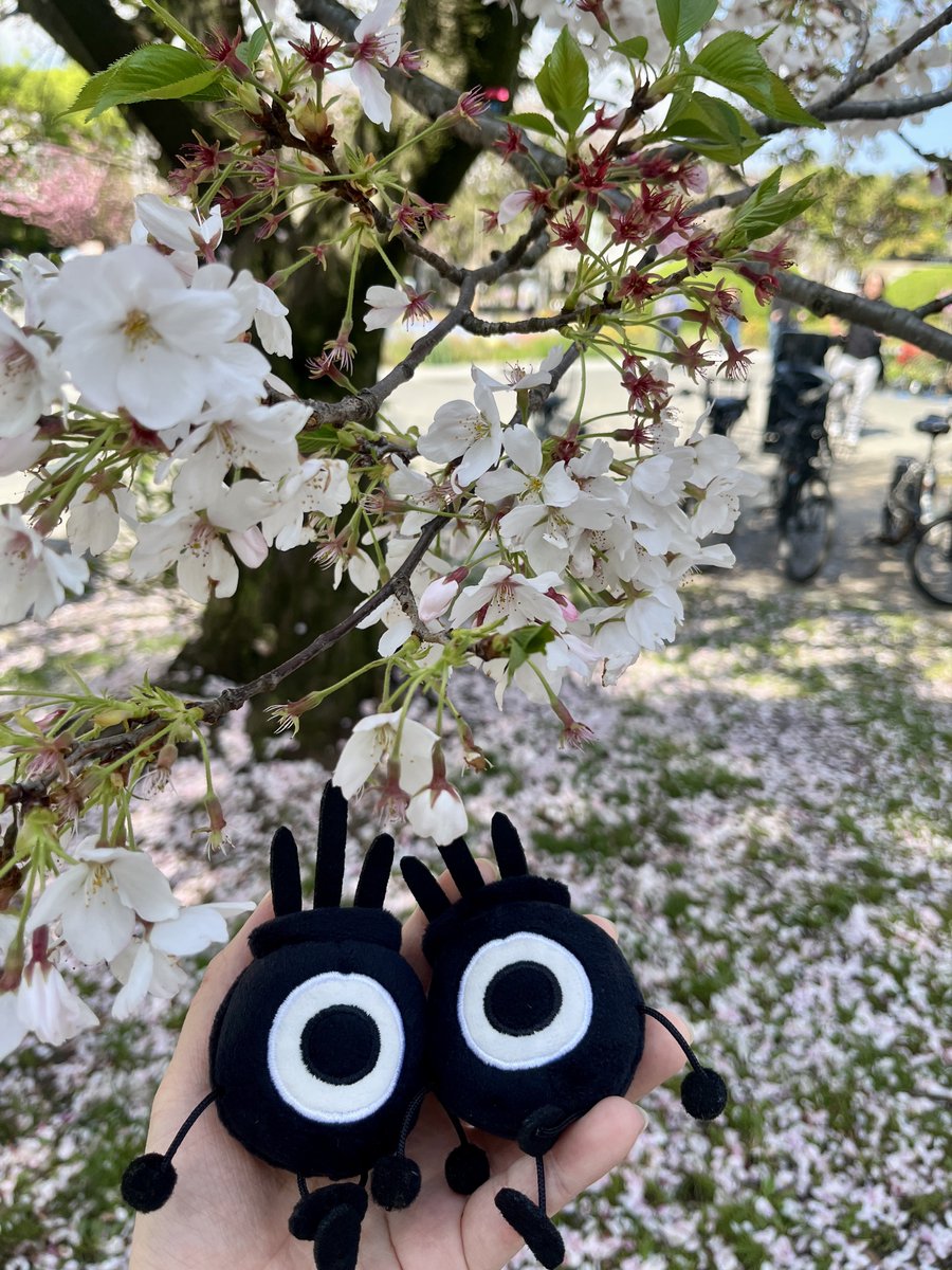 ばっさい tweet media