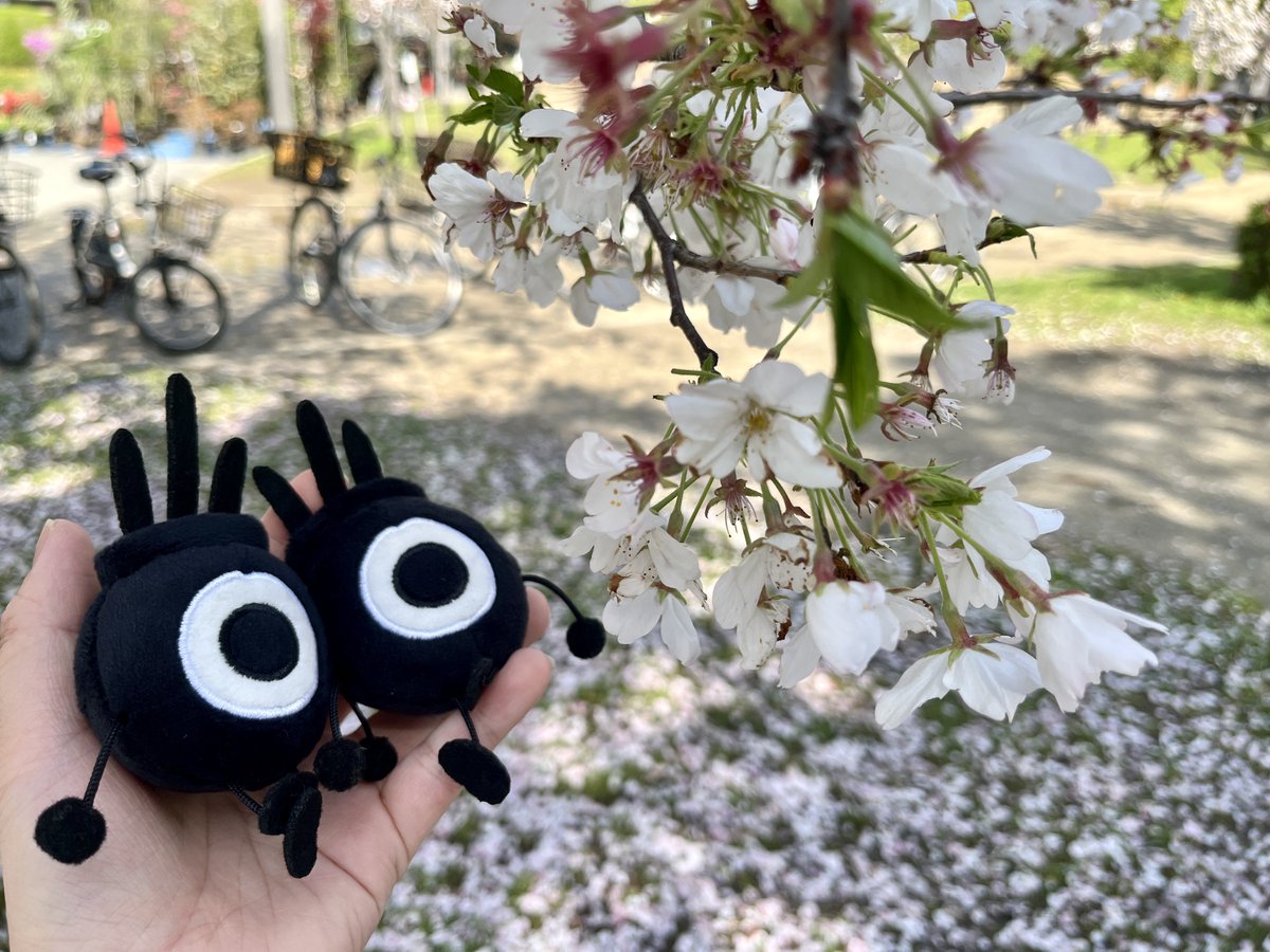 ばっさい tweet media