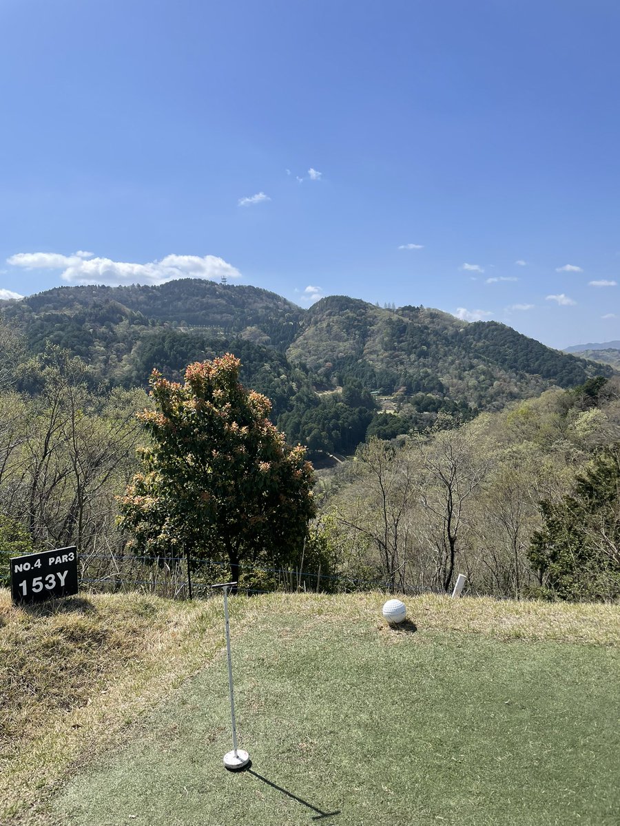 すぴか🥐🥐 tweet media