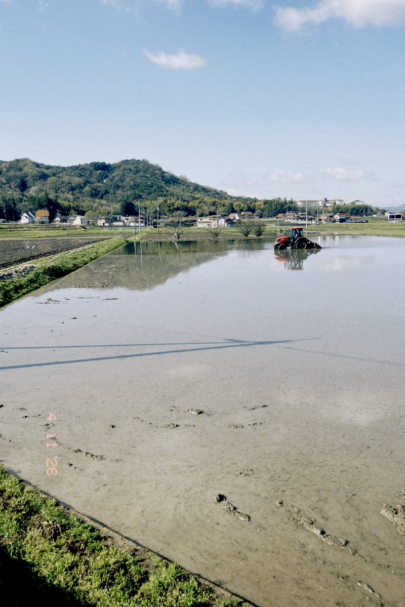 navy0220photo's tweet image. 朝Runの景色
#dazz