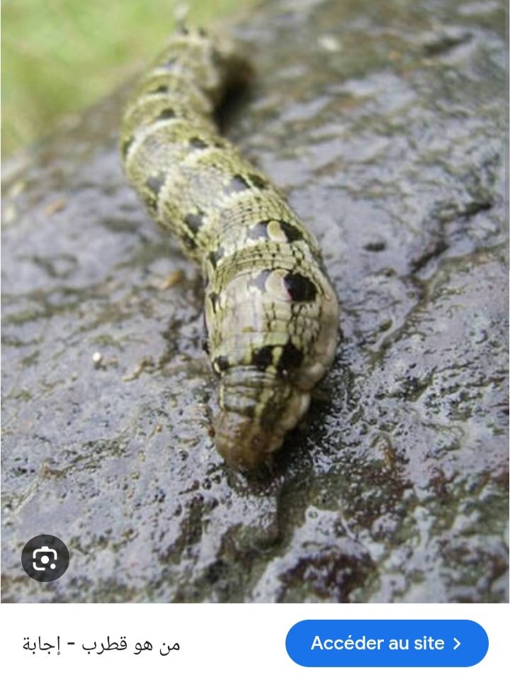 The world is small tweet media