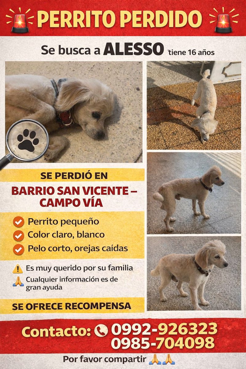 Stephie Bogado Tervit #80547 tweet media