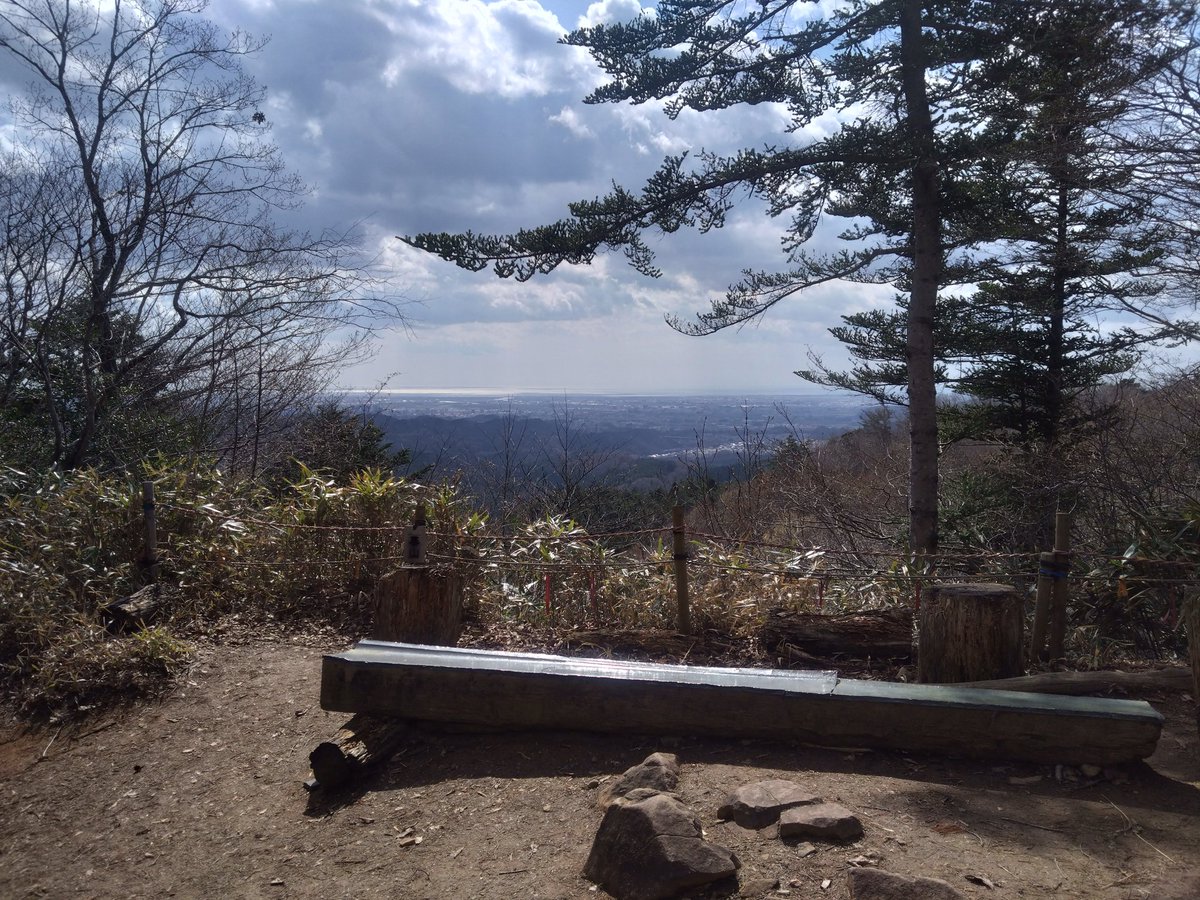 どらいせんβ tweet media