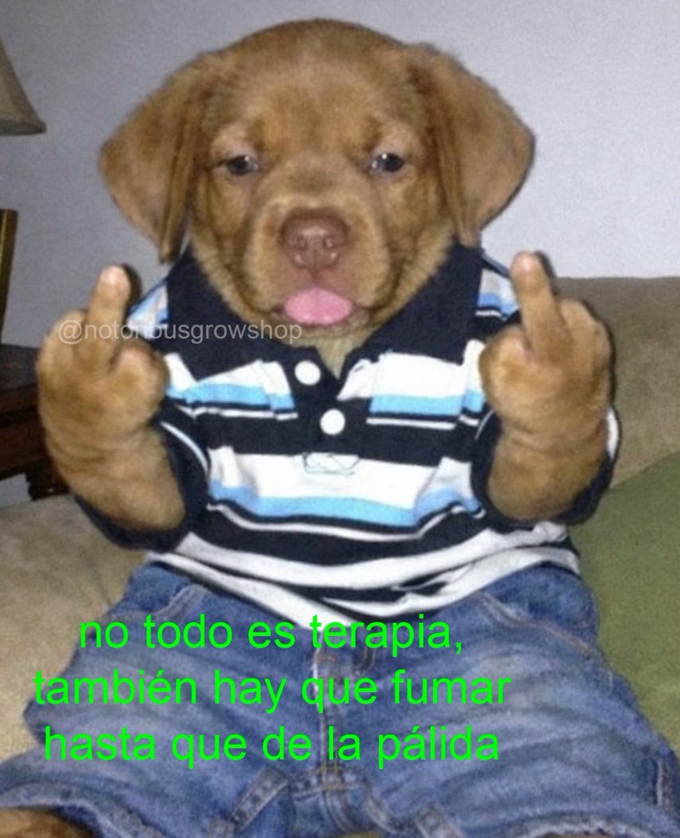 El Paragua Venenoso (@elparaguayo1231) on Twitter photo 