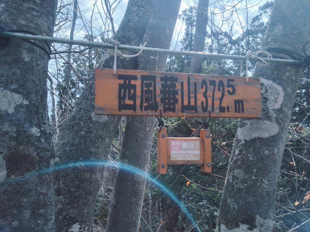 どらいせんβ tweet media