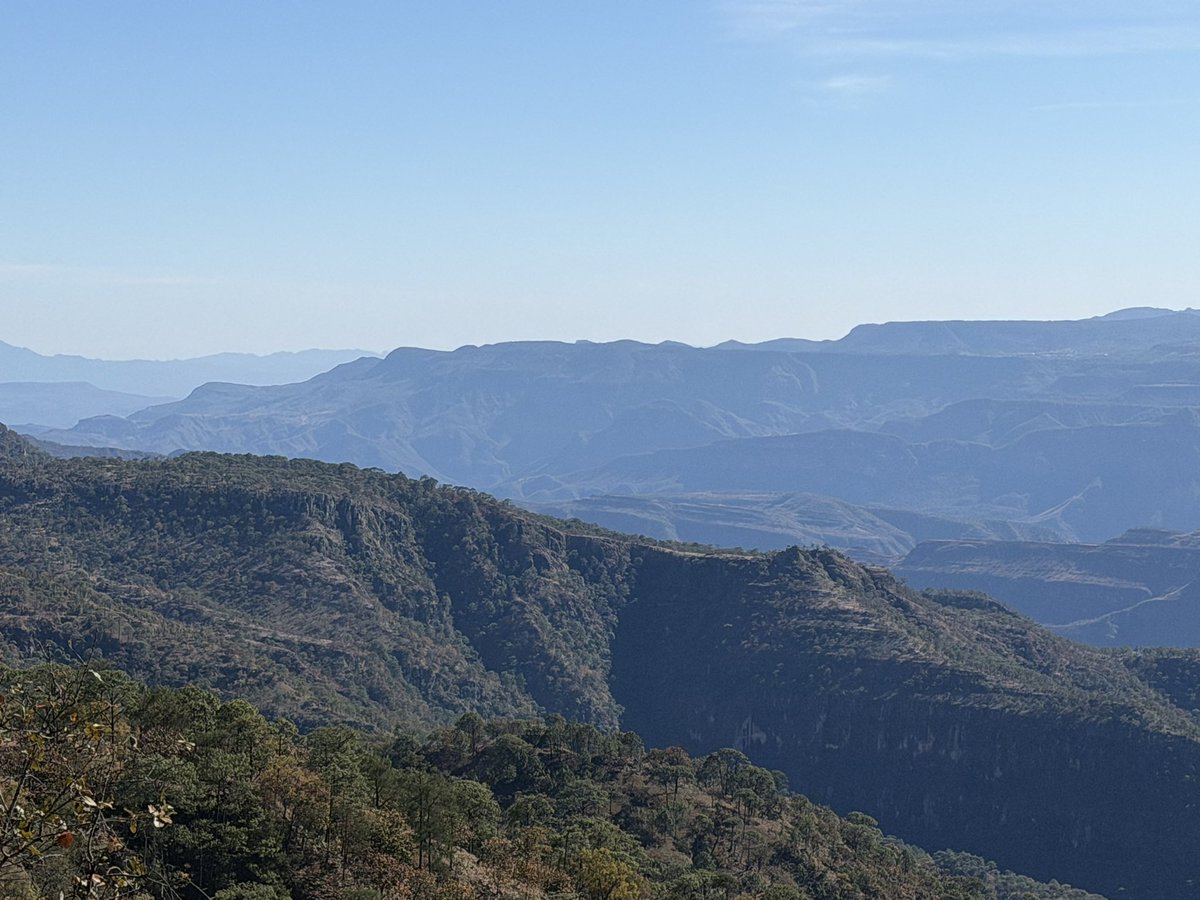 “La tierra es de quien la trabaja”

¡Honramos la memoria de nuestro General Emiliano Zapata en lo más alto de la Sierra Madre Occidental, recorriendo el territorio tradicional de los pueblos O’dam y Mexikan, haciendo realidad sus sueños de justicia y libertad!

Cómo decía Don