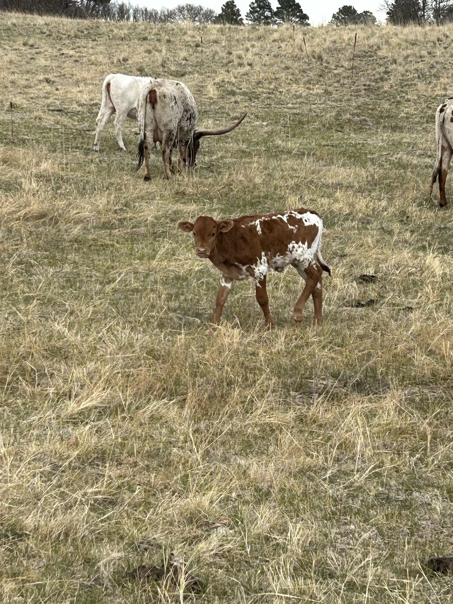 Amy Hunt tweet media