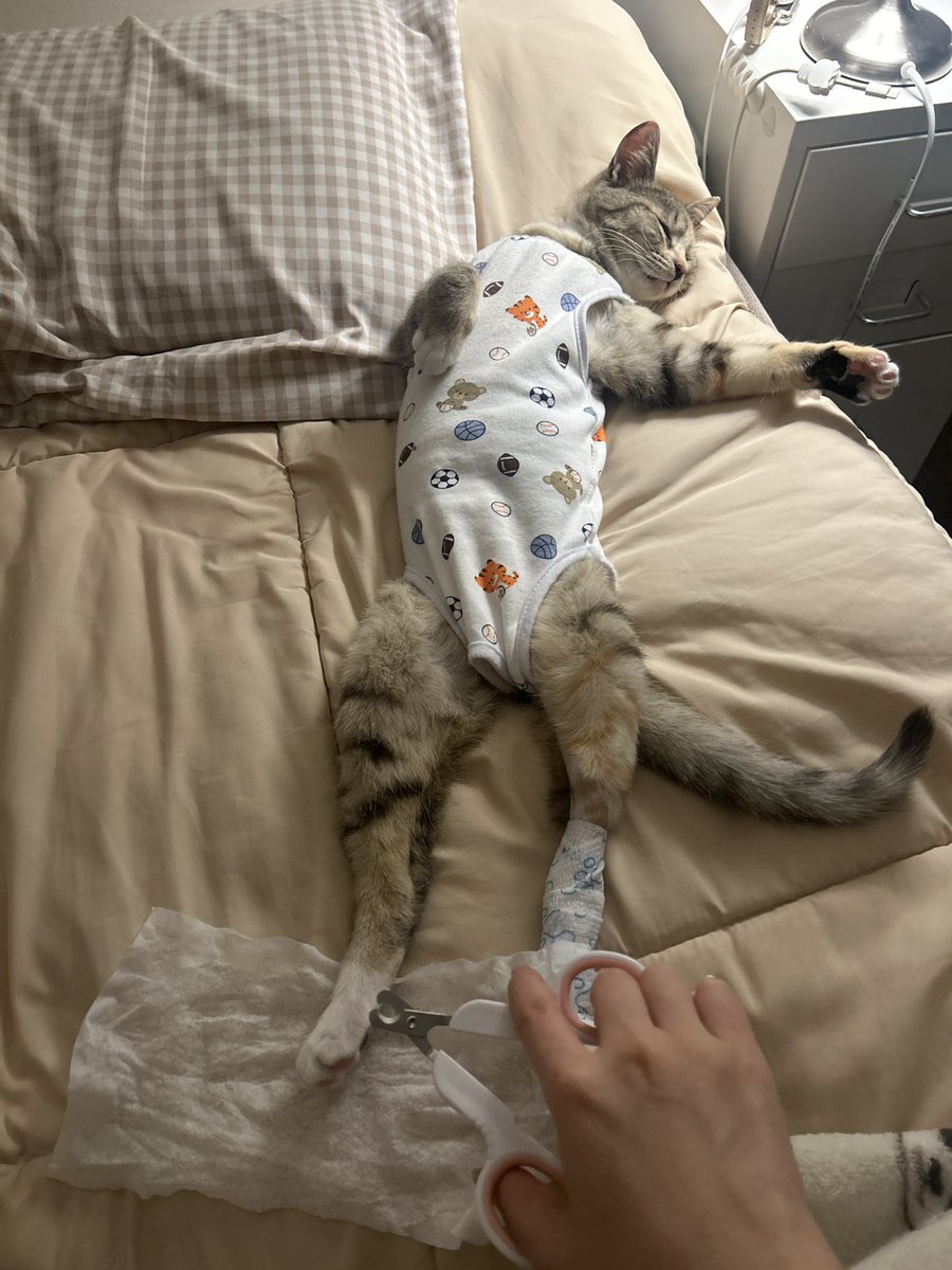 당근🥕 tweet media