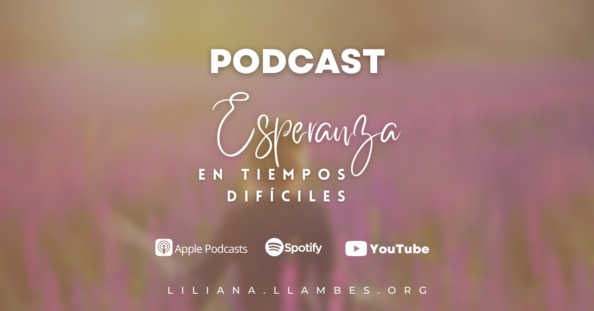 Lily Llambés tweet media