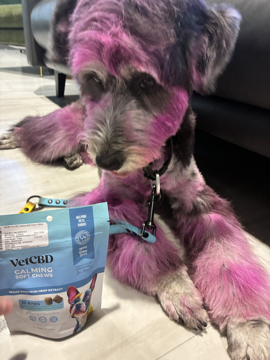 softpaws⋆🐾°ᶻ 𝗓 𐰁 tweet media