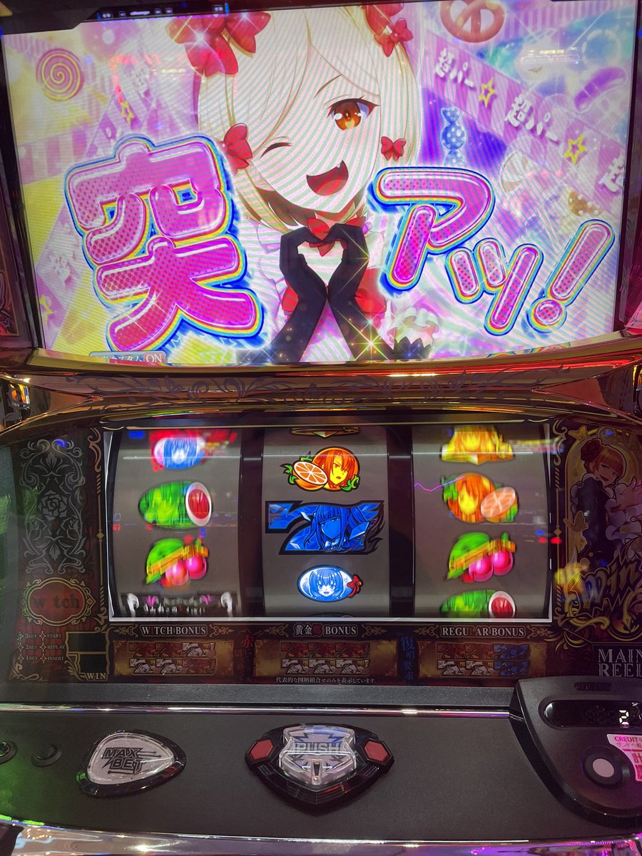 ジサイド🐾 tweet media