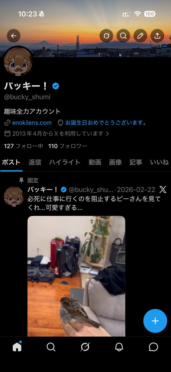 バッキー！ tweet media