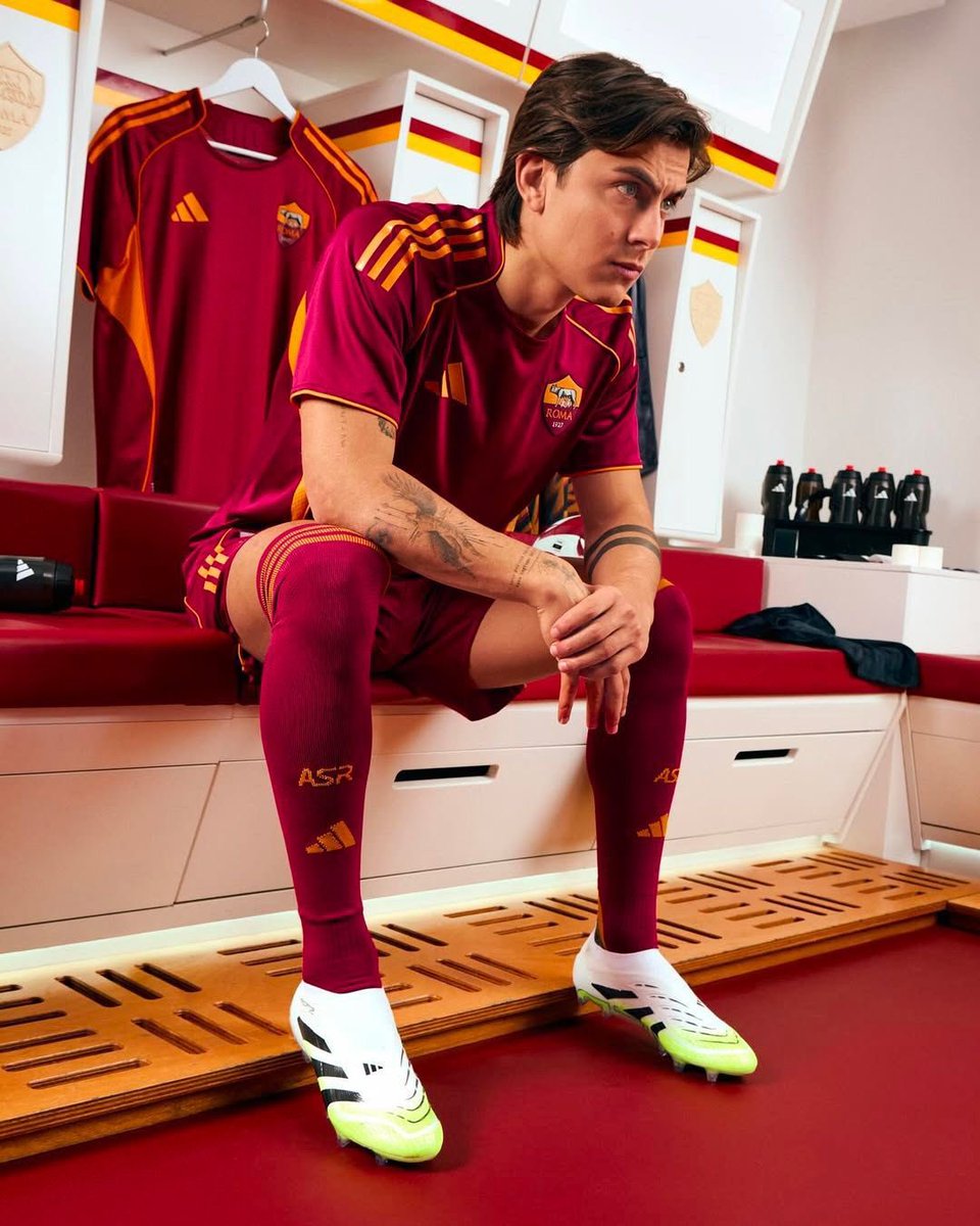 apricity tweet media