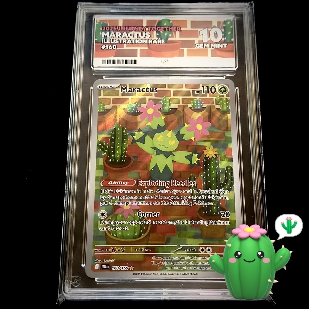 FelixFlyman's tweet photo. @SparcmacLive 🌵 https://t.co/wTqEG78TNU