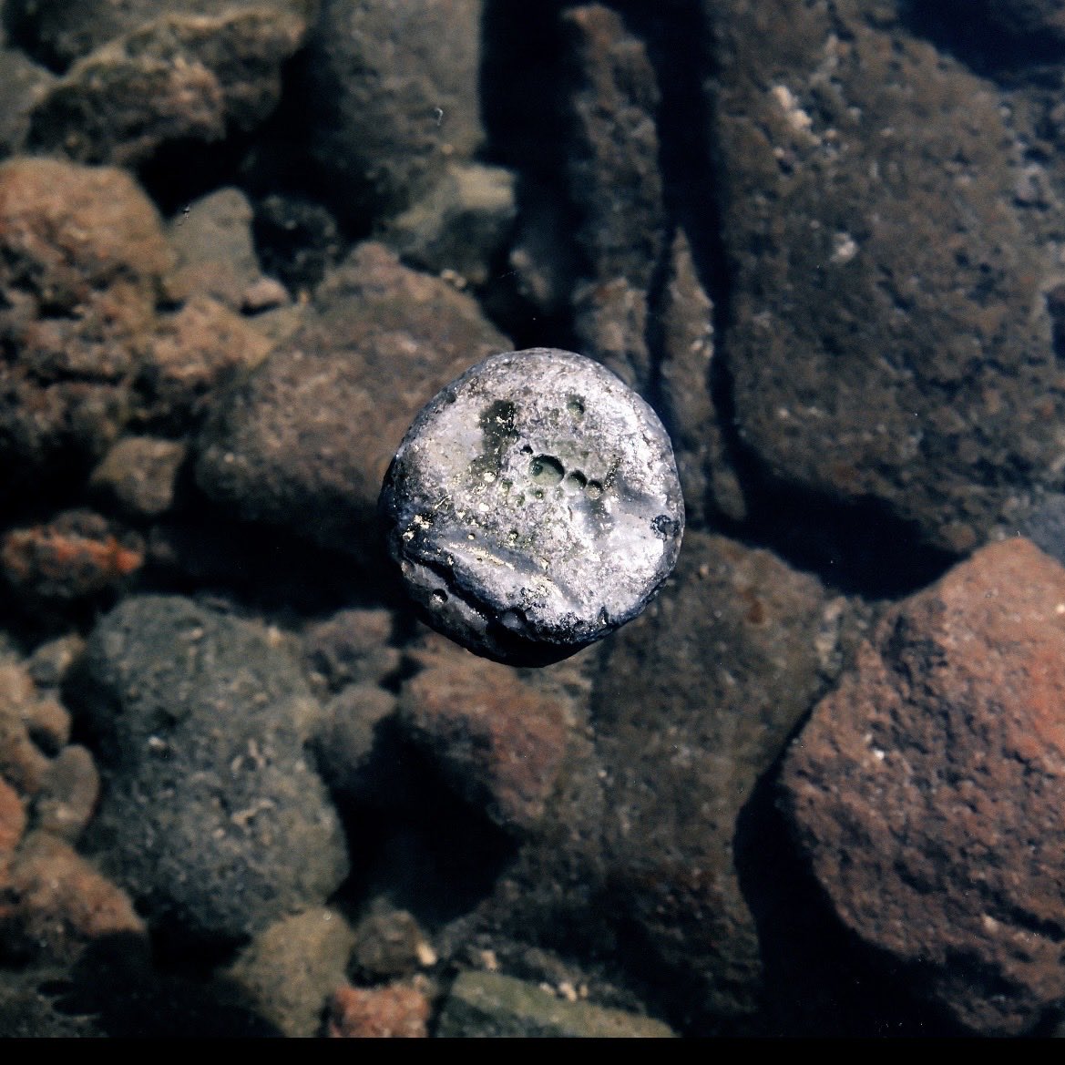 【柴田早理| COSMO PLASTICS】

open today 13:00〜18:30

本日、作家の柴田早理が在廊しています。ぜひ、この機会にお越しください。