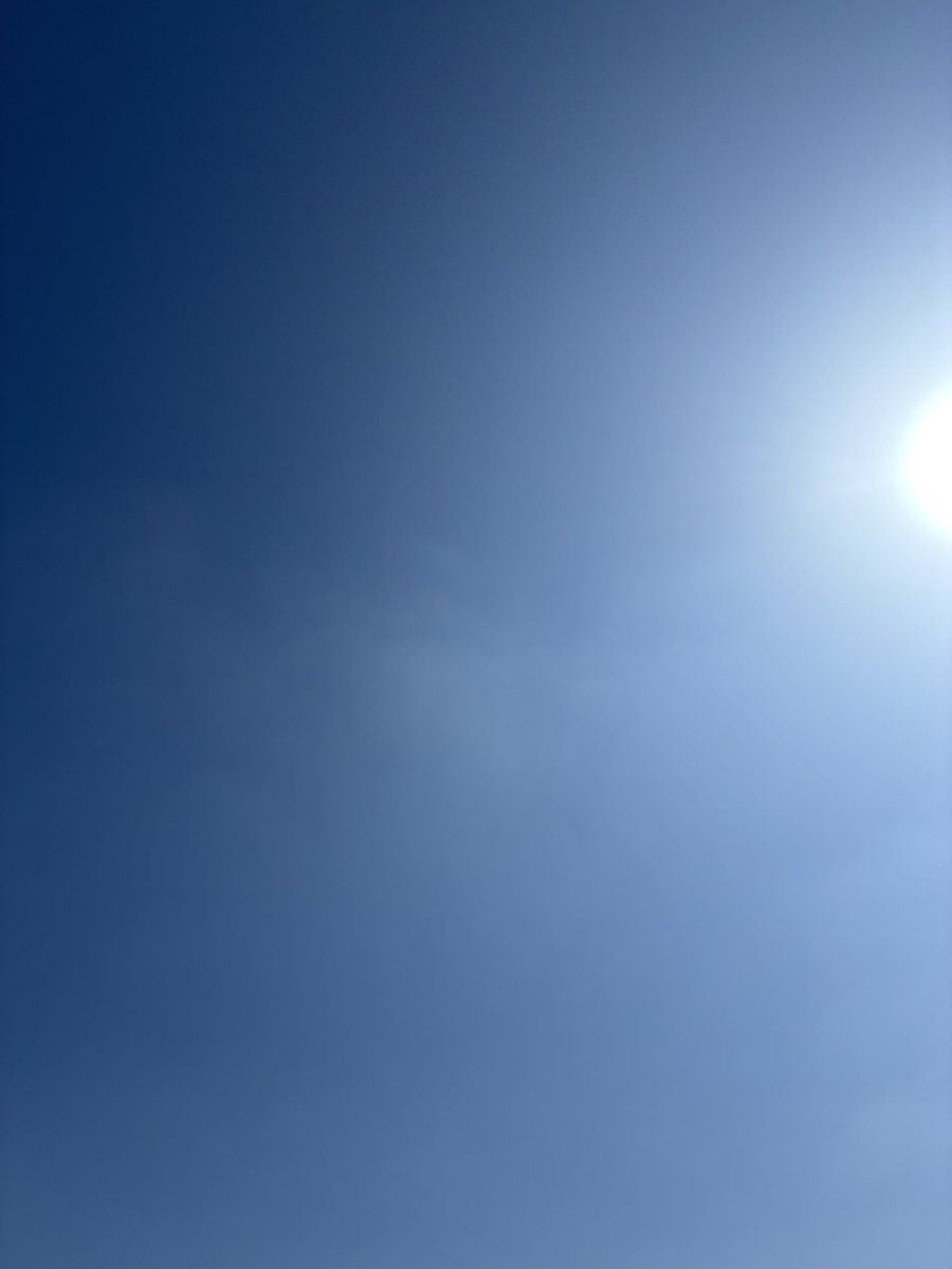 mie🌈💛🦫 tweet media