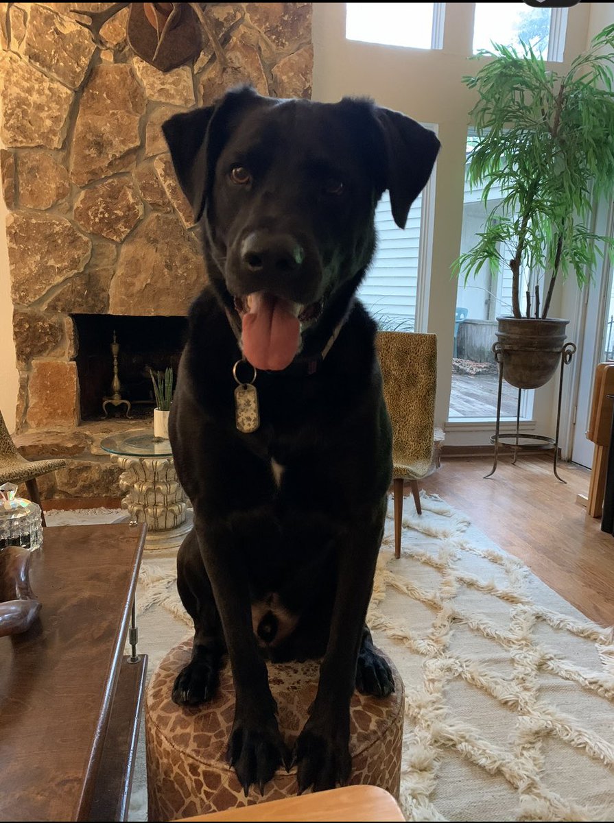 Mitch Duffy tweet media