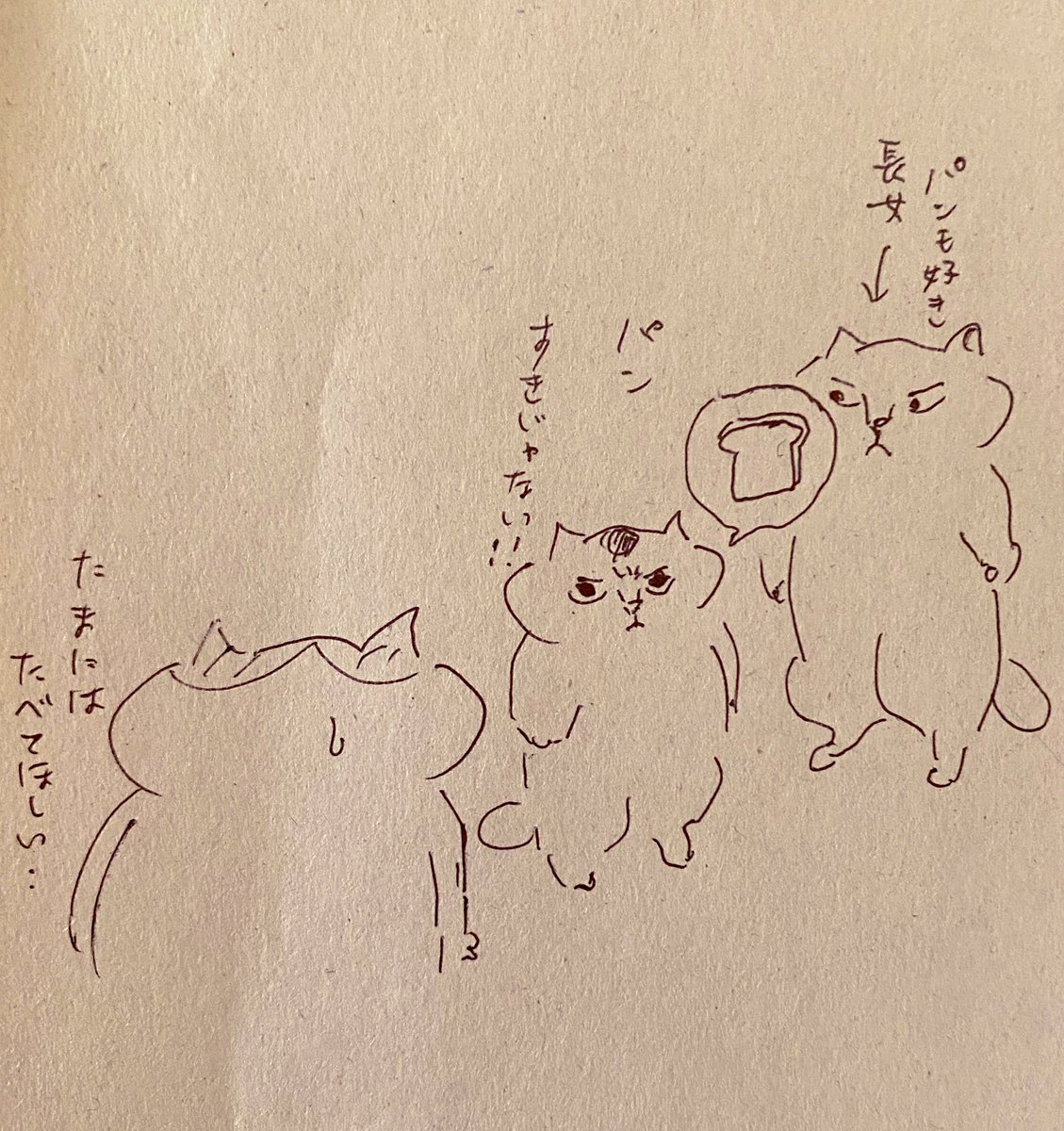 ご飯🍚好きな子供達には、朝ごはんも基本はご飯と簡単お味噌汁にしていますが、忙しくてさっと準備できる食パンを食べてほしい時もたまにあります。
しかし次女は食パンの耳が嫌いで食べたくないのだそう…
これなら文句も出なかろうと、おいしそうなスプレッドを買ってきました🍫 