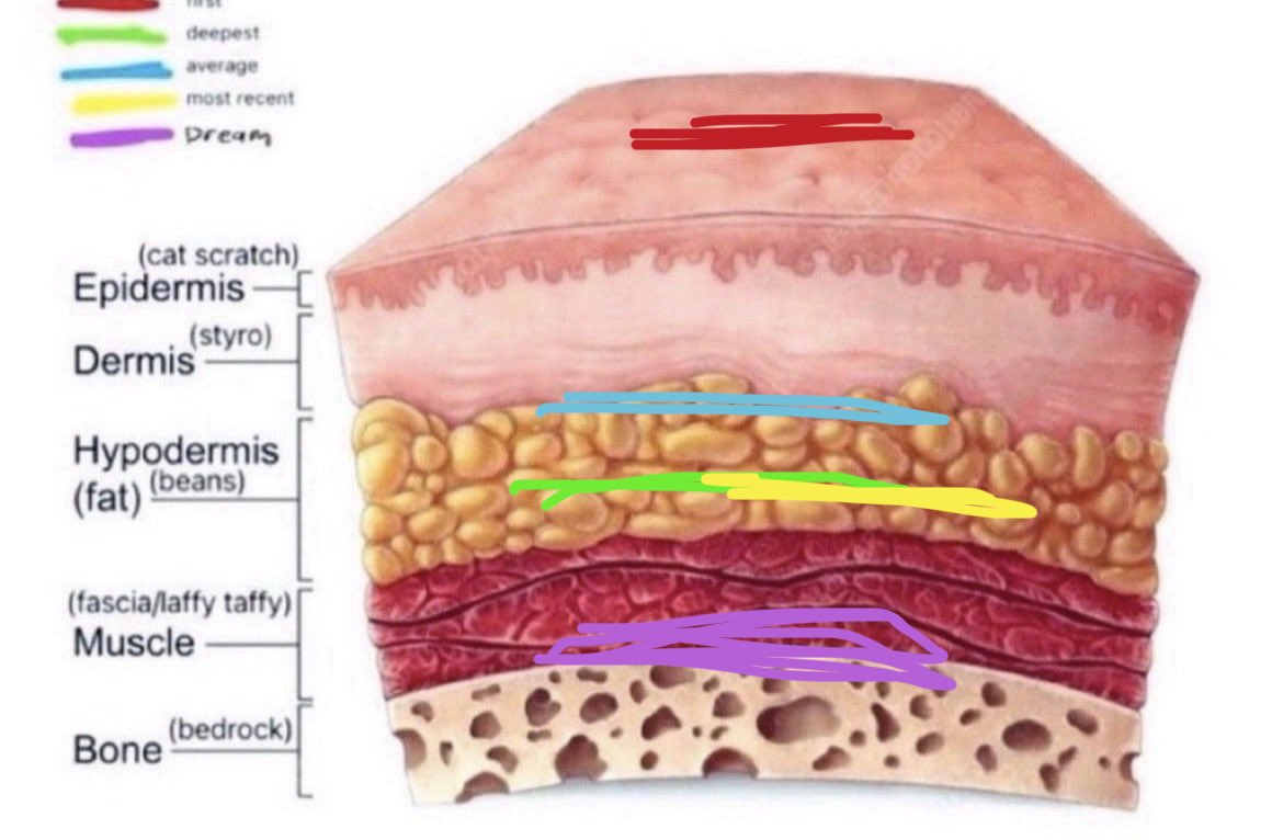 gerard way of shedtwt tweet media