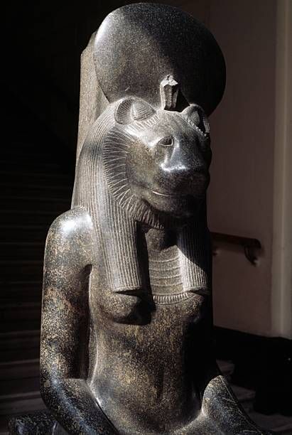 Steph Kent tweet media