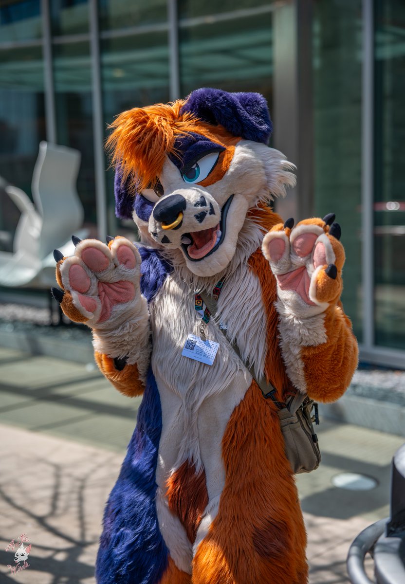 🌿Dog With A Blog🌿🔜AnthrOhio tweet media