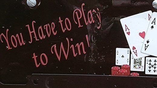 cata ౨ৎ tweet media