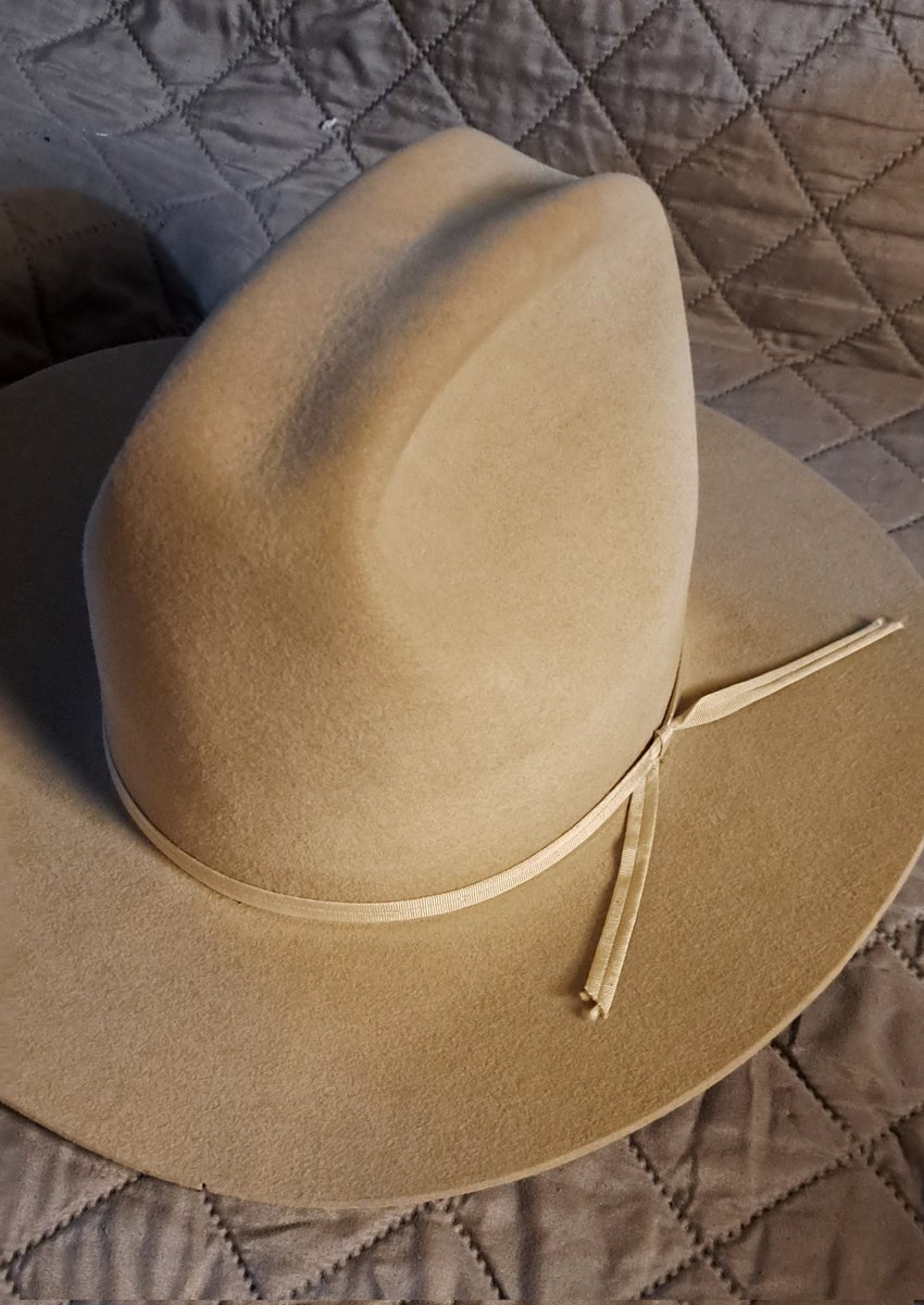 Yard sale today,  made some cash but the coolest cat gifted me one of those Johnny Depp Stetson type hats. It was filthy but I cleaned it up