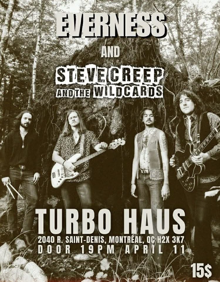 Steve Creep and the Wildcards tweet media