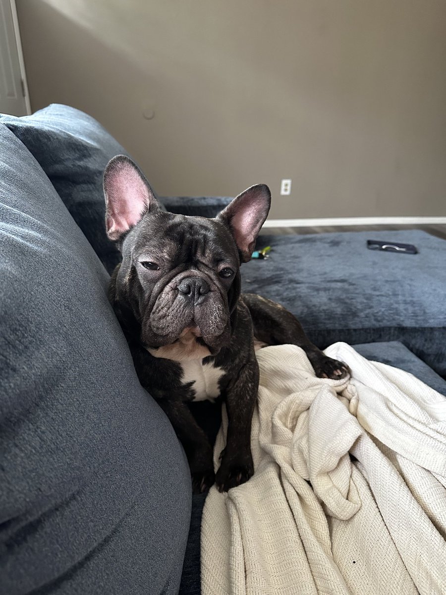 MIH TRENDS tweet media