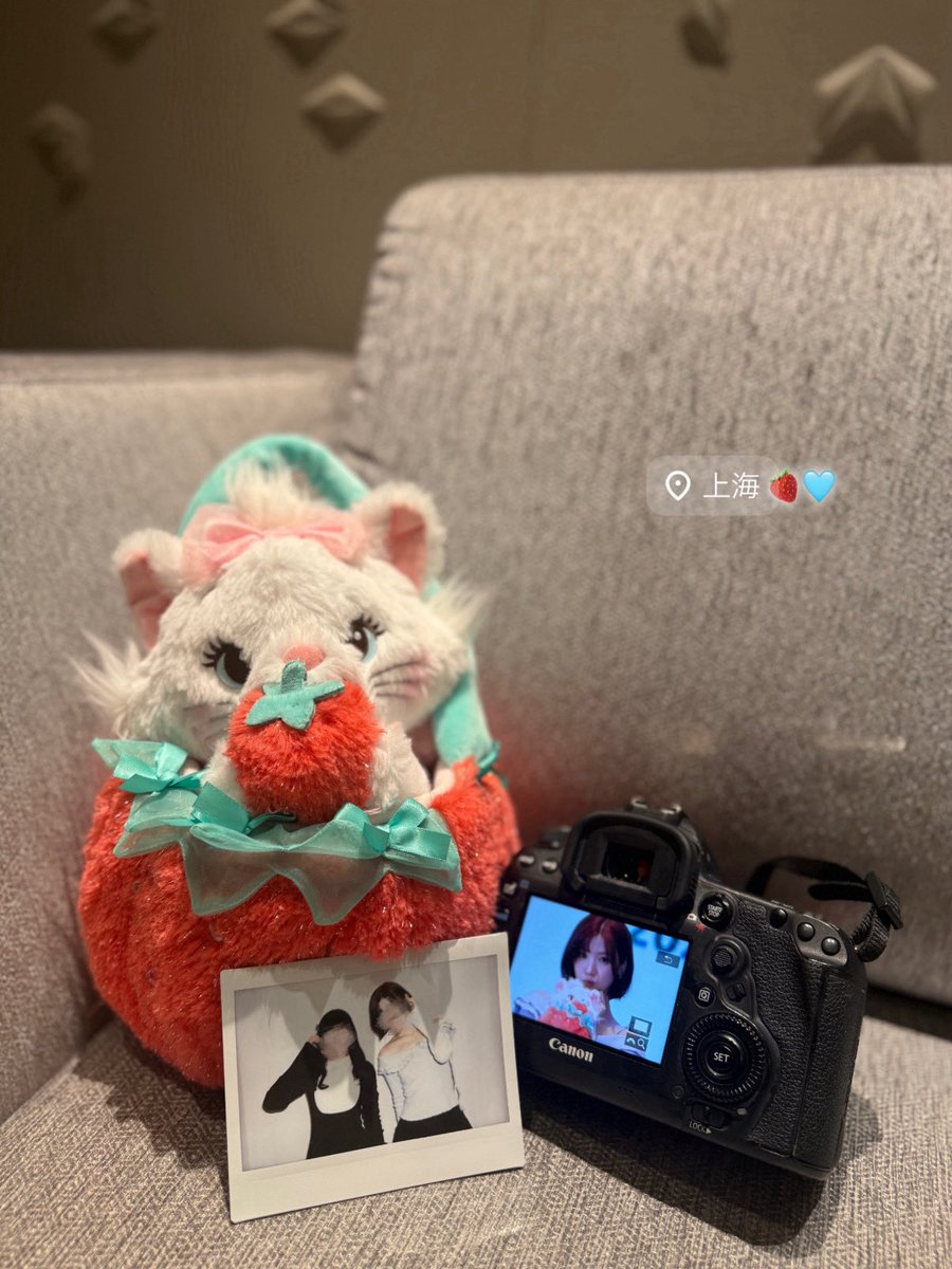 mybabynyang's tweet photo. まよちがあげたぬいだ🩵🩵 わーーい(っ>ꙍ<c)🍓🩵🩵 https://t.co/Xrmry3h4UX