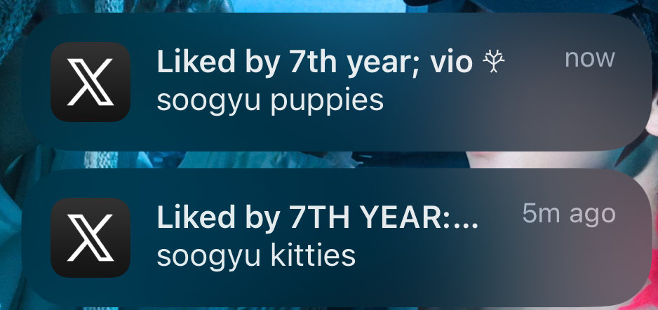 7th year: kito 🪾 tweet media