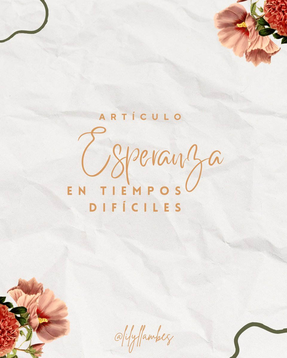 Lily Llambés tweet media