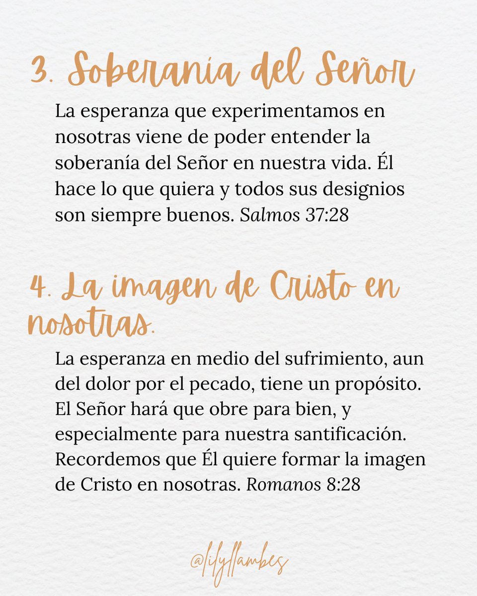 Lily Llambés tweet media