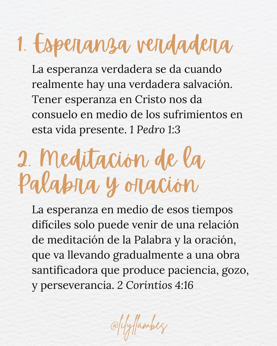 Lily Llambés tweet media