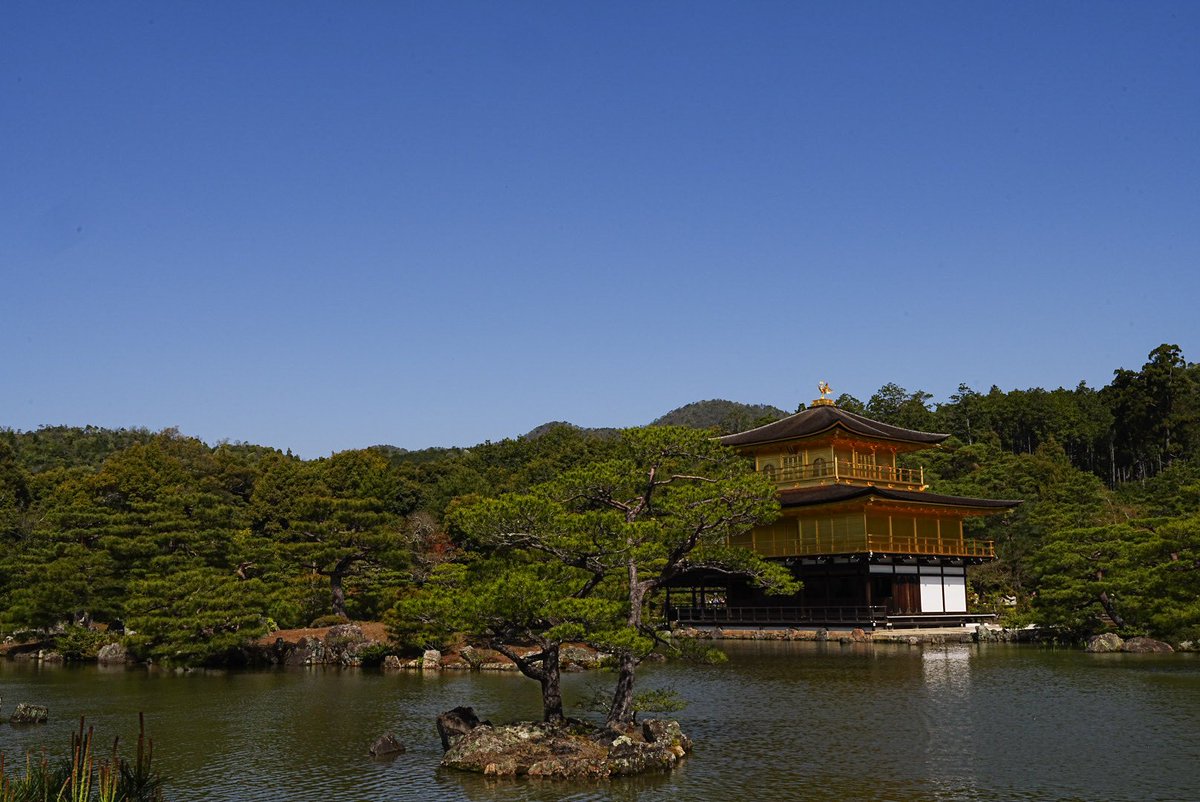 やすま tweet media