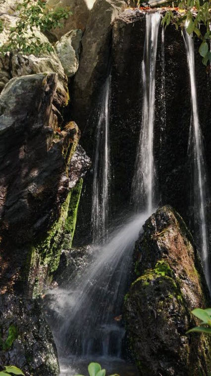 やすま tweet media