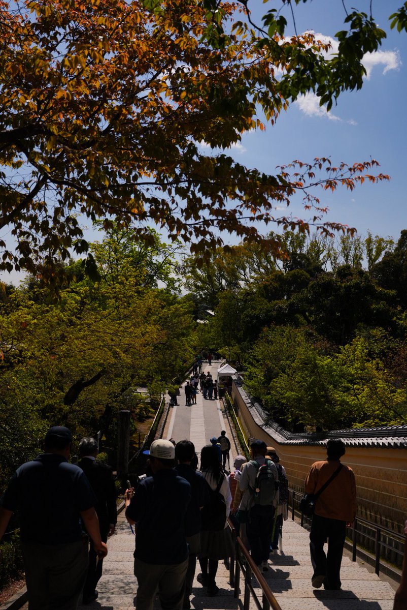 やすま tweet media