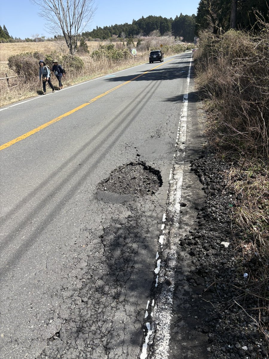 コーディ tweet media